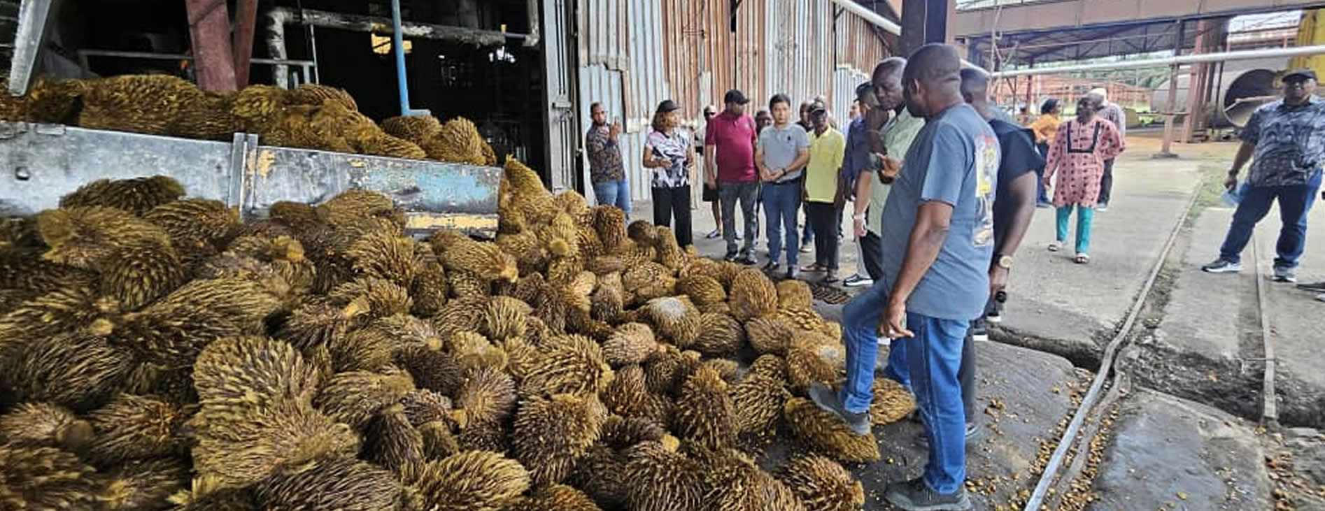 Orashi Special Energy Free Zone