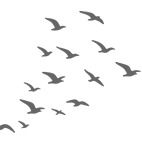 Orashi Special Energy Free Trade Zone