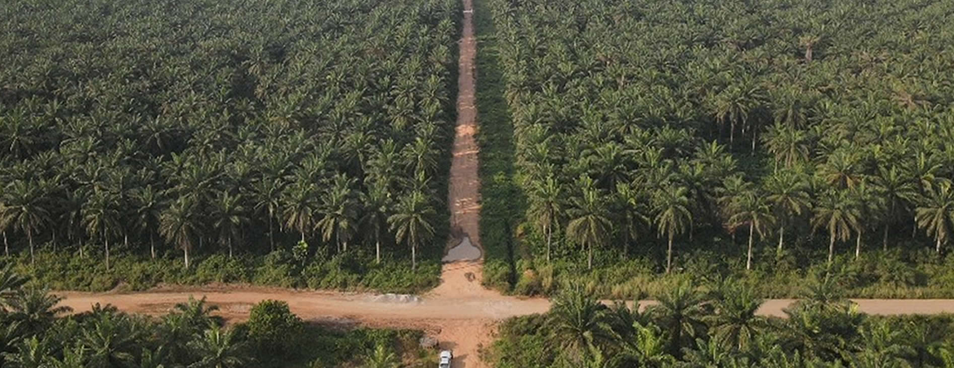 Orashi Special Energy Free Zone